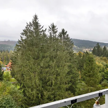 Harz Stube Apartment *