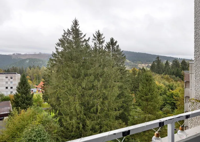 Harz Stube Apartment *